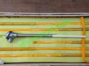 Can nhiệt (cảm biến nhiệt độ) Tempsens